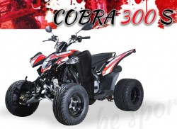 Cobra 300 S